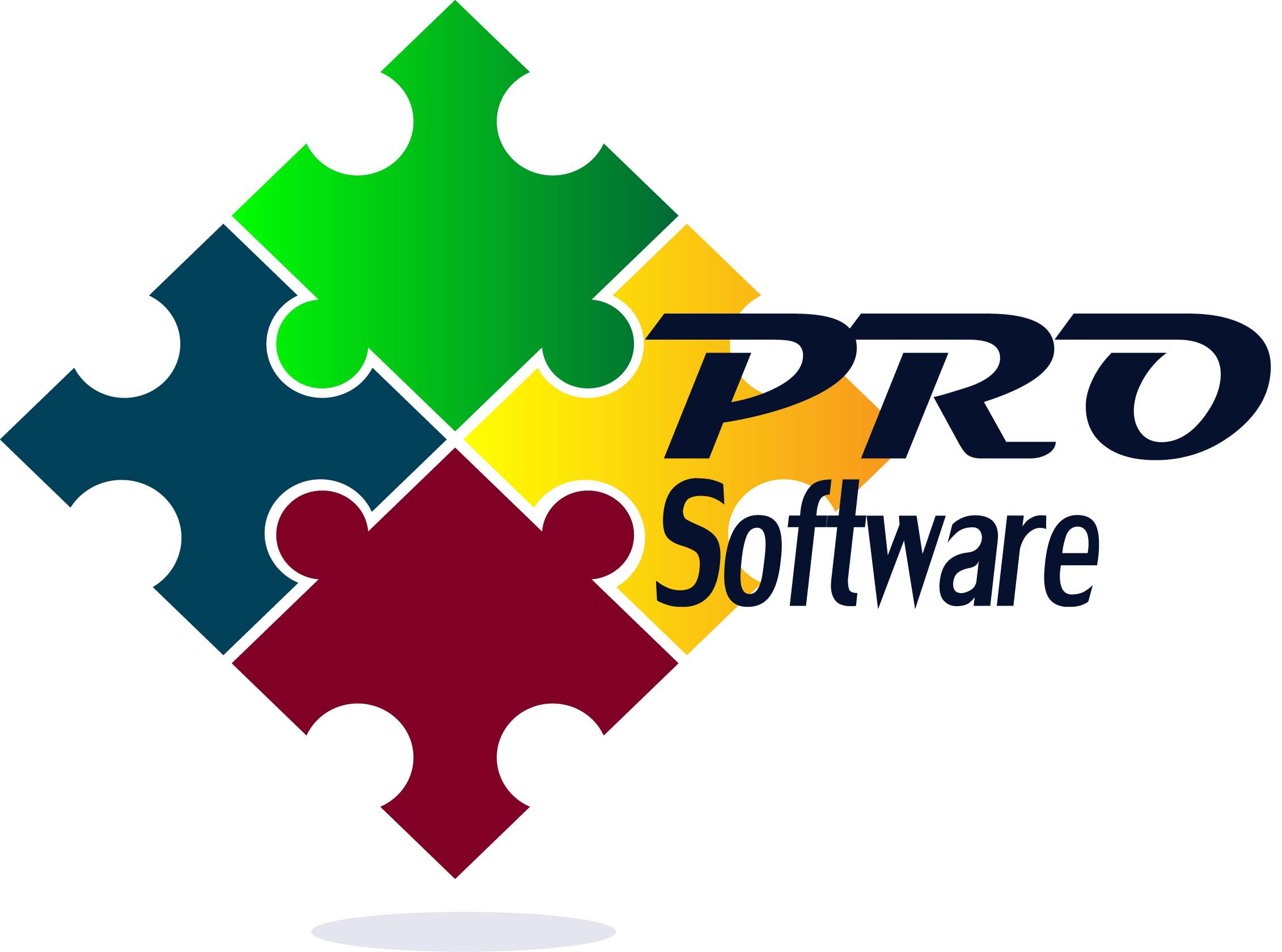 Pro Software Logo